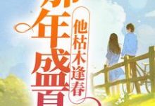 那年盛夏，他枯木逢春小说完结了吗？在哪里可以免费读到？-推书机