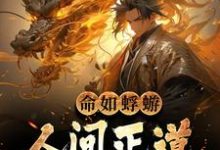 在线免费阅读命如蜉蝣：人间正道是长生完整小说-推书机