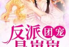 反派团宠是崽崽免费阅读，反派团宠是崽崽宁团团系统-推书机