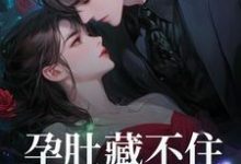 免费看孕肚藏不住，冰山总裁找上门小说的网站有哪些？-推书机