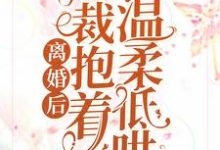 小说《离婚后,总裁抱着前妻温柔低哄》在线章节阅读-推书机