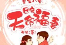 重生八零：团宠天命福妻盛南珍傅博延，重生八零：团宠天命福妻在线无弹窗阅读-推书机