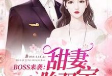 《BOSS来袭：甜妻一胎双宝》小说章节列表免费试读，苏沫沫厉司夜小说在线阅读-推书机