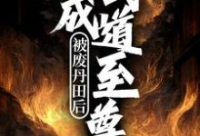 完结版《被废丹田后,我成武道至尊》章节阅读-推书机