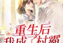 南十一小说叫什么(重生后我成了村霸免费阅读)-推书机