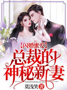 闪婚蜜爱：总裁的神秘新妻小说，闪婚蜜爱：总裁的神秘新妻傅烨池绫刘哲