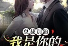 陈池舒欣柔小说总裁别跑,我是你的命定女人在线阅读-推书机