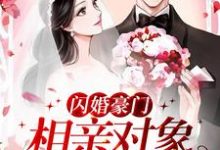 《闪婚豪门：相亲对象是大佬》小说许南音陆南骁章节章节免费在线阅读-推书机