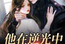 苏韵祁征小说《他在逆光中告白》在线阅读-推书机