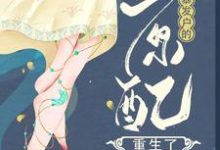 孙丽芳周允石小说叫什么(暴发户的原配重生了免费阅读)-推书机
