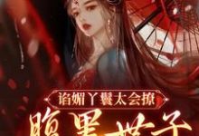 免费看谄媚丫鬟太会撩，腹黑世子沦陷了小说的网站有哪些？-推书机