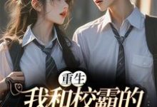 免费在线阅读重生：我和校霸的甜甜恋爱小说的正规网站有哪些？-推书机