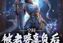 空间：被老婆辜负后，我只想摆烂小说阅读，空间：被老婆辜负后，我只想摆烂完结版-推书机