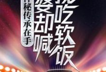 完整版的神秘传承在手，老婆却喊我吃软饭小说在哪里可以免费读到？-推书机