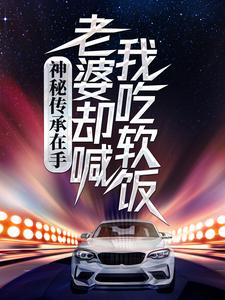 完整版的神秘传承在手，老婆却喊我吃软饭小说在哪里可以免费读到？