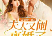 一夜情深:顾总,夫人又闹离婚了夏浅浅顾煜轩小说在线章节免费阅读-推书机