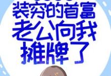 小说《闪婚超甜：装穷的首富老公向我摊牌了》章节免费阅读-推书机