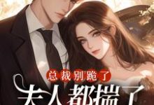 已完结小说《总裁别跪了,夫人都揣了别人的崽了》章节在线阅读-推书机