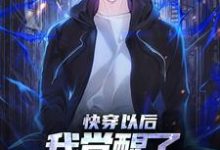 免费在线阅读快穿以后,我觉醒了最强“装备栏”小说的正规网站有哪些?-推书机