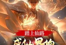 已完结小说《踏上仙路,成仙界的人族最强代表》章节在线阅读-推书机