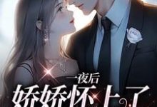 陆总,你老婆带着孩子跑了小说的免费阅读版本在哪里可以找到?-推书机
