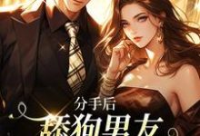 分手后,舔狗男友成了绝世神豪免费阅读,分手后,舔狗男友成了绝世神豪虞听晚江野-推书机