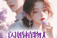 闪婚植物人首富后,她成了豪门团宠这本小说在哪里可以看?哪里有免费试读章节?-推书机
