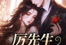 厉先生你轻点宠小说的免费阅读版本在哪里可以找到?-推书机