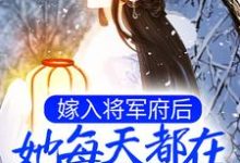 嫁入将军府后,她每天都在被迫宫斗秦执叶云栖小说大结局免费试读-推书机