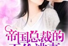 帝国总裁的天价逃妻免费阅读，帝国总裁的天价逃妻 池安夏墨厉城-推书机