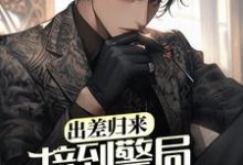 出差归来，接到警局电话赎老婆王昊，出差归来，接到警局电话赎老婆小说免费阅读-推书机