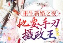 宋音书萧御辞小说重生新婚之夜，她要手刃摄政王章节免费阅读-推书机