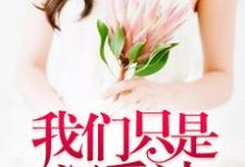 木晚晚晏如修小说叫什么(我们只是深爱过免费阅读)-推书机