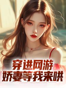 穿进网游，娇妻等我来哄免费阅读，穿进网游，娇妻等我来哄章节在线阅读