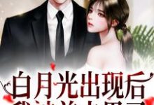 小说《白月光出现后,我被前夫甩了》在线章节阅读-推书机