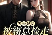 陆迟晚厉宴行小说在线章节免费阅读(失去记忆,被霸总捡走当女主无弹窗无删减)-推书机