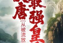 大唐最强皇子:从被流放开始这本小说怎么样?免费在线阅读试试-推书机