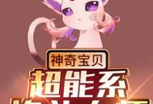 《神奇宝贝:超能系格斗大师》小说章节在线试读,《神奇宝贝:超能系格斗大师》最新章节目录-推书机