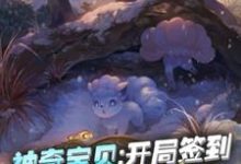 哪里能找到神奇宝贝:开局签到阿罗拉六尾小说的全部章节?-推书机