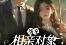 完整版的甜宠:相亲对象是甲方大佬小说在哪里可以免费读到?-推书机