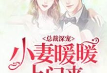 完整版的总裁深宠:小妻暖暖上门来小说在哪里可以免费读到?-推书机