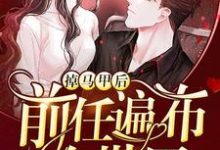 掉马甲后前任遍布全世界小说,掉马甲后前任遍布全世界章节在线阅读-推书机