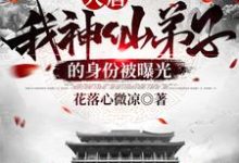 大唐:我神仙弟子的身份被曝光小说最新更新在哪里?免费在线看-推书机