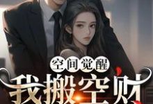完结版《空间觉醒:我搬空财库寻军官》章节目录在线阅读-推书机