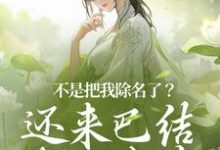 小说《不是把我除名了?还来巴结本妃作甚》章节免费阅读-推书机