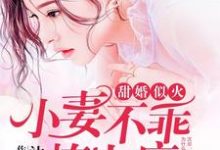 小说《甜婚似火:小妻不乖,撩上瘾》章节阅读-推书机