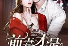 小说《离婚后,前妻才是白月光》章节免费阅读-推书机