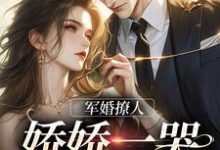 军婚撩人,娇娇一哭,他疯魔了小说的最新章节在哪里更新?免费追踪阅读-推书机