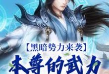 《黑暗势力来袭，本尊的武力依旧强大》小说大结局免费试读 芈湮小猫小说-推书机