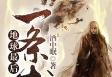 地球最后一条龙章节免费在线阅读，秦飞苏玉完结版-推书机